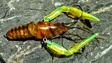 Joint Zari 65