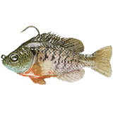Mattlures Bluegills