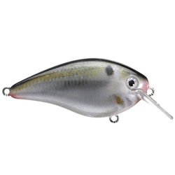 Strike King KVD Squarebill