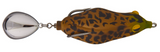 Teckel Maracker Frog