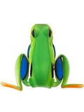 Lunkerhunt Popping Frog