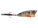 6th Sense Splash Back Popper