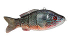 Animated Lure