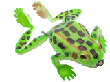 Chasebaits Bobbin' Frog