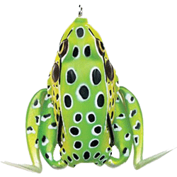 http://bamafrogs.com/cdn/shop/products/green_frog_grande.gif?v=1425145631