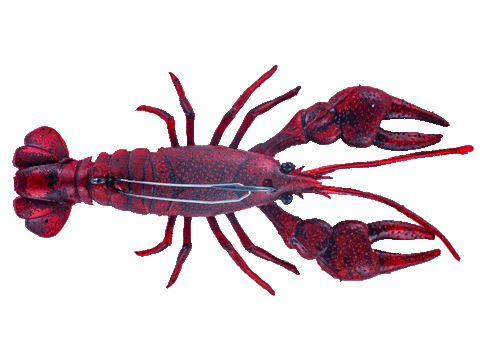 Chasebaits Mudbug
