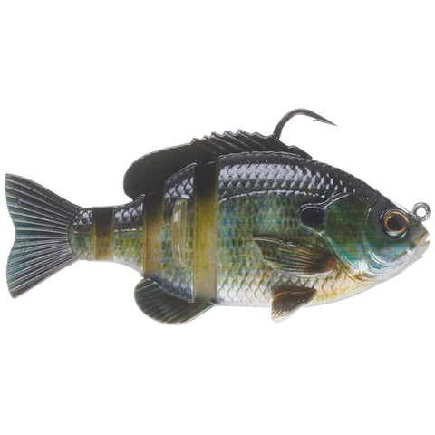 VENTDOUCE Animated Fishing Bait,Artificial Animated Fishing Swimbait with  Metal Hooks - Swimming Fishing Lure for Freshwater & Saltwater :  : Sports & Outdoors