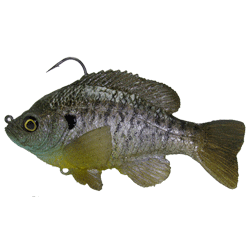 Mattlures Ultimate Red-Ear Sunfish Flat Tail