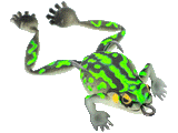 Chasebaits Bobbin' Frog