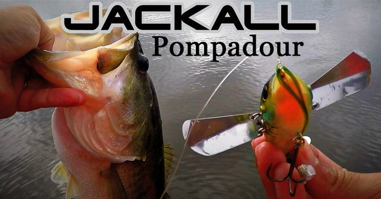 Jackall Pompadour – Bama Frogs